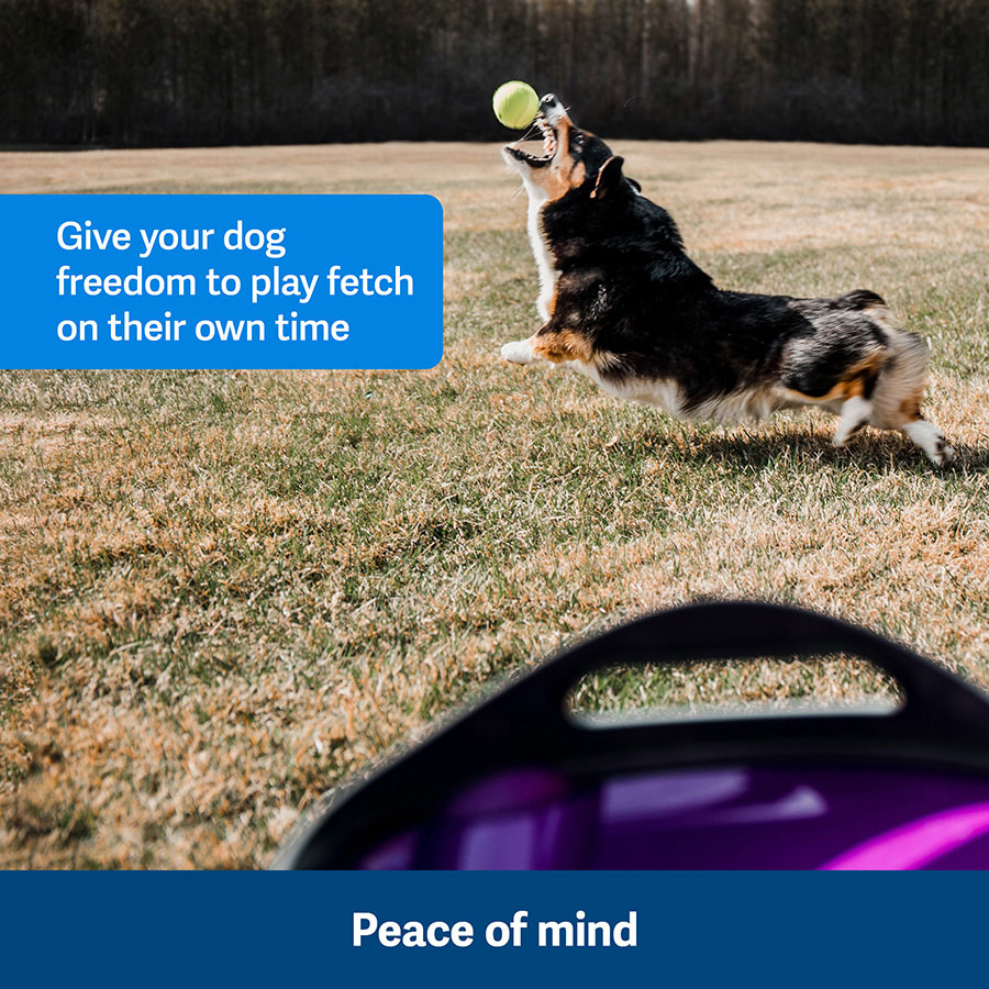 PetSafe Automatic Dog Ball Launcher