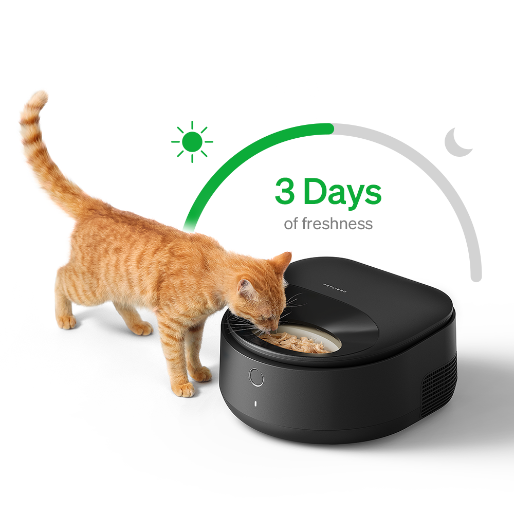 Polar Smart Wet Food Feeder for Pets  Automatic Portion Control Feeding Bowl
